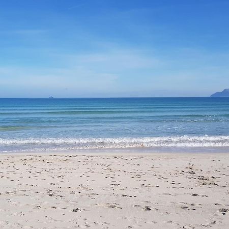 Ideal Property Mallorca - Lago Miguel ポルト・ダルクディア エクステリア 写真